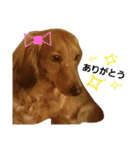 キングとダム（個別スタンプ：22）