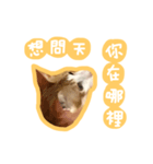 トラ猫栗栗ちゃんの日常（個別スタンプ：9）