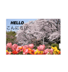 Enjoy Japan日本（個別スタンプ：1）