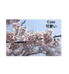 Enjoy Japan日本（個別スタンプ：4）