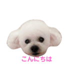 I LOVE モッチャン（個別スタンプ：1）