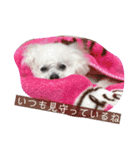 I LOVE モッチャン（個別スタンプ：4）