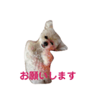 I LOVE モッチャン（個別スタンプ：5）