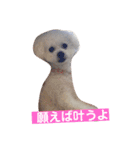 I LOVE モッチャン（個別スタンプ：6）