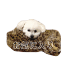 I LOVE モッチャン（個別スタンプ：7）