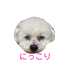 I LOVE モッチャン（個別スタンプ：9）