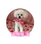 I LOVE モッチャン（個別スタンプ：12）