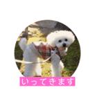 I LOVE モッチャン（個別スタンプ：14）