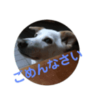パクちゃんち（個別スタンプ：7）