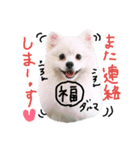 もふポメ福詠くん～ポジティブ編～（個別スタンプ：23）