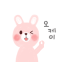 素敵なウサギの毎日(韓國語)（個別スタンプ：19）
