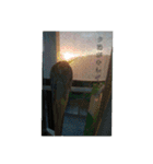みんな集まれ～（個別スタンプ：9）