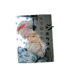 みんな集まれ～（個別スタンプ：13）