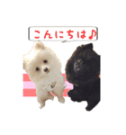 ポメ仲良し3兄弟てんじろふぅくん（個別スタンプ：2）