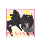 ポメ仲良し3兄弟てんじろふぅくん（個別スタンプ：4）