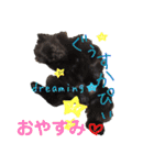 ポメ仲良し3兄弟てんじろふぅくん（個別スタンプ：5）