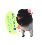 ポメ仲良し3兄弟てんじろふぅくん（個別スタンプ：18）