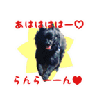ポメ仲良し3兄弟てんじろふぅくん（個別スタンプ：26）