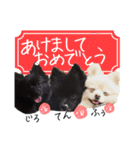 ポメ仲良し3兄弟てんじろふぅくん（個別スタンプ：40）