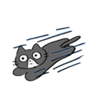 ねこのいるくらし（個別スタンプ：5）