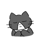 ねこのいるくらし（個別スタンプ：16）