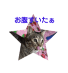 まん丸フゥちゃんスタンプ（個別スタンプ：8）