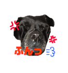 染様と時々よかいちと時々々らむ（個別スタンプ：26）
