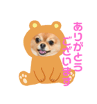 チワぽん③（個別スタンプ：16）