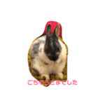 みにうさ（個別スタンプ：3）