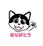ぽっちゃり猫のチャコちゃんスタンプ（個別スタンプ：2）