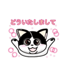 ぽっちゃり猫のチャコちゃんスタンプ（個別スタンプ：3）