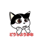 ぽっちゃり猫のチャコちゃんスタンプ（個別スタンプ：9）