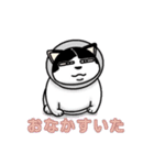 ぽっちゃり猫のチャコちゃんスタンプ（個別スタンプ：11）