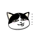 ぽっちゃり猫のチャコちゃんスタンプ（個別スタンプ：12）