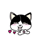 ぽっちゃり猫のチャコちゃんスタンプ（個別スタンプ：14）