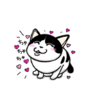 ぽっちゃり猫のチャコちゃんスタンプ（個別スタンプ：15）