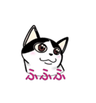 ぽっちゃり猫のチャコちゃんスタンプ（個別スタンプ：16）