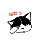 ぽっちゃり猫のチャコちゃんスタンプ（個別スタンプ：19）