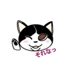 ぽっちゃり猫のチャコちゃんスタンプ（個別スタンプ：22）