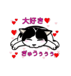 ぽっちゃり猫のチャコちゃんスタンプ（個別スタンプ：23）