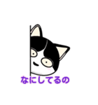 ぽっちゃり猫のチャコちゃんスタンプ（個別スタンプ：33）