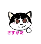 ぽっちゃり猫のチャコちゃんスタンプ（個別スタンプ：34）