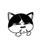 ぽっちゃり猫のチャコちゃんスタンプ（個別スタンプ：36）