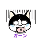 ぽっちゃり猫のチャコちゃんスタンプ（個別スタンプ：37）