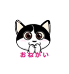 ぽっちゃり猫のチャコちゃんスタンプ（個別スタンプ：38）