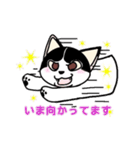 ぽっちゃり猫のチャコちゃんスタンプ（個別スタンプ：39）