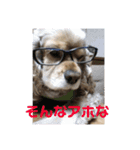 信です。（個別スタンプ：2）