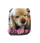 信です。（個別スタンプ：5）