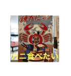 yoshikijapanmax（個別スタンプ：28）