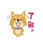京都動物愛護センター 京ちゃん＆都ちゃん（個別スタンプ：3）